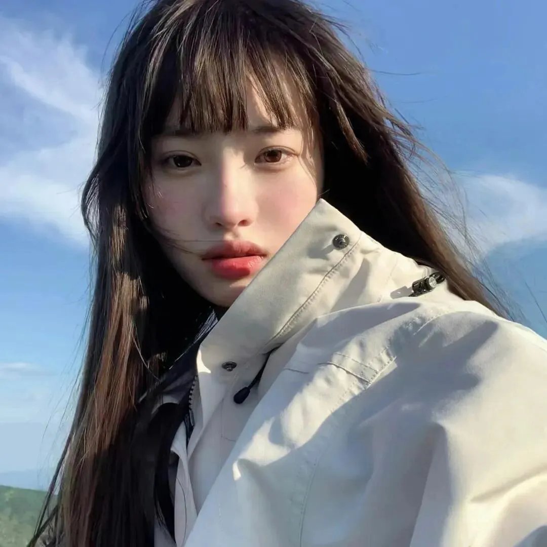 极地熊踪